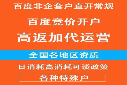 某知名企业SEM营销全案解析